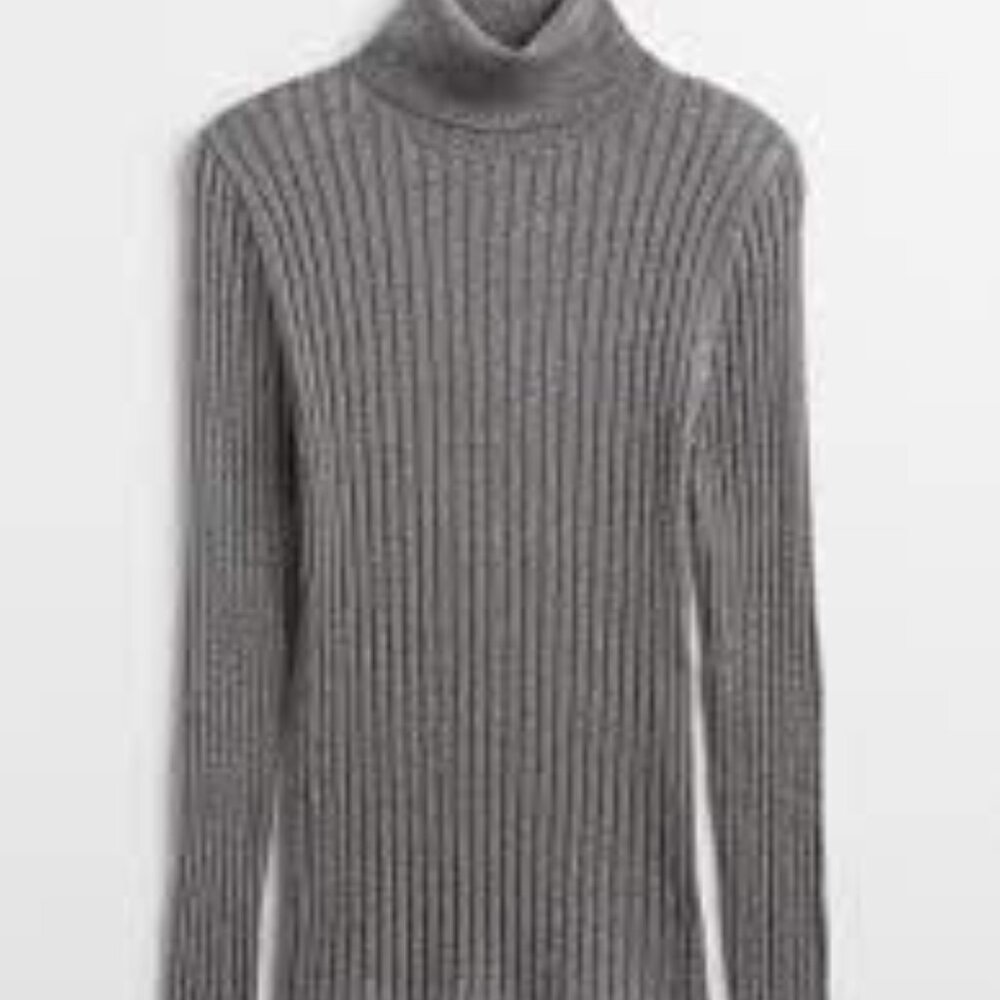 GAP Shimmer Ribbed Turtleneck Sweater/NWT/L